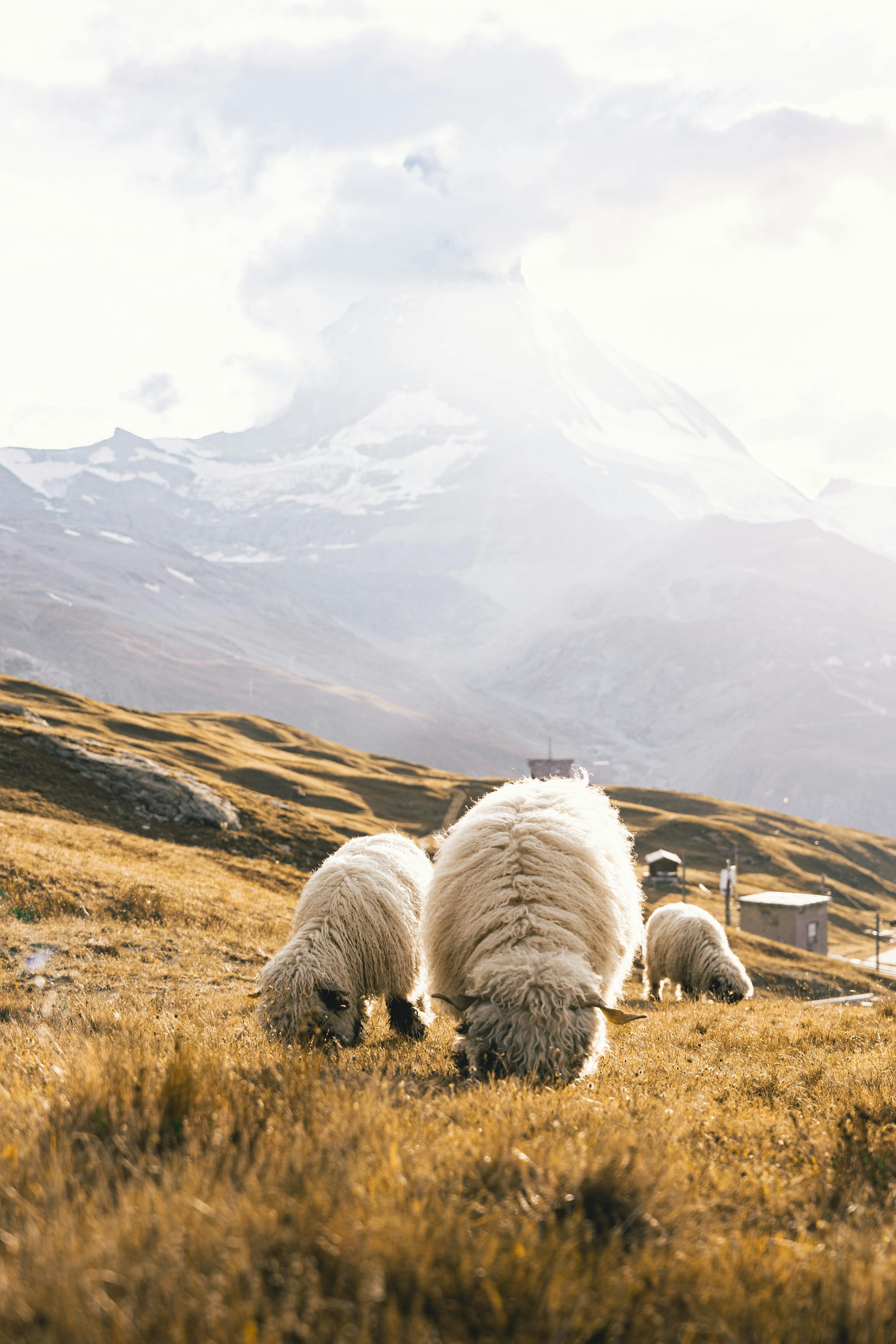 From Mountain to Your Wardrobe: How Kule Kule Sources Its Materials